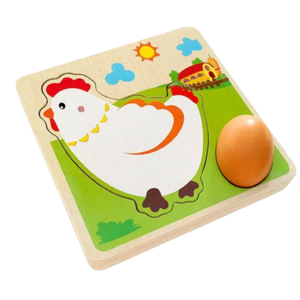 DIDACTICO GALLINA