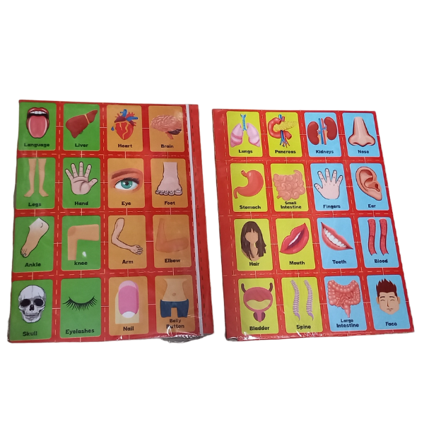 LOTERIA CARTON