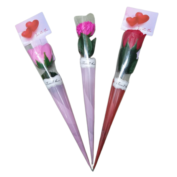 ROSA FINA