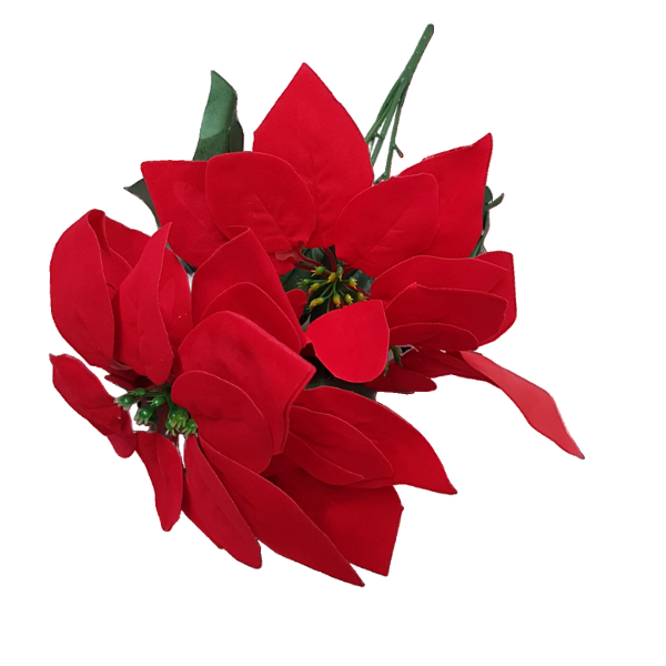 FLOR NAVIDAD X5