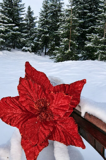 FLOR 23CM