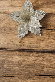 FLOR 27CM