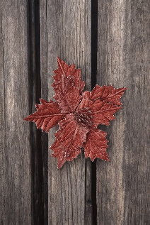 FLOR 23CM