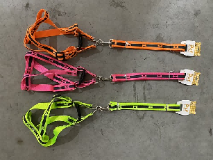 COLLAR PARA MASCOTA